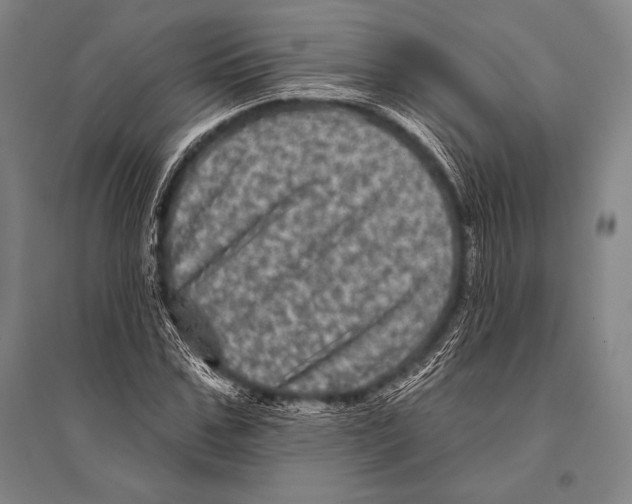 X0000094810971200712141618