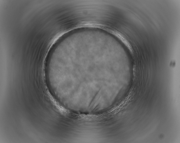 X0000094810972200712141618