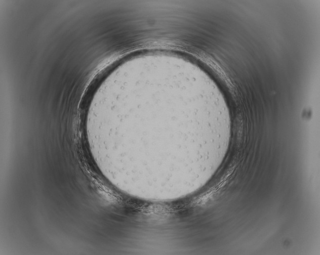 X0000094810974200712141618