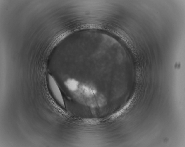 X0000094810977200712141618