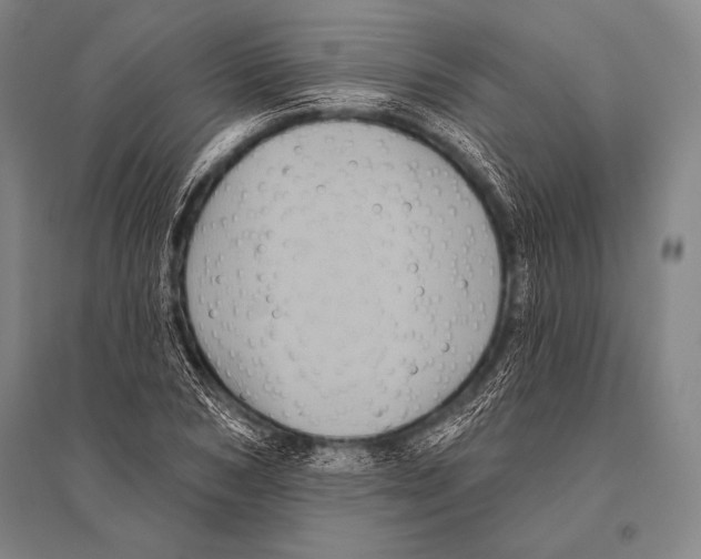 X0000094810978200712141618