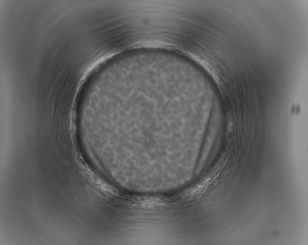 X0000094810979200712141618