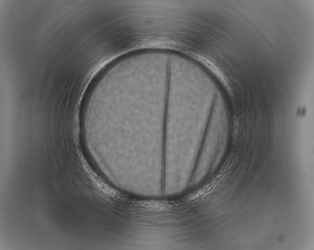 X0000094810980200712141618