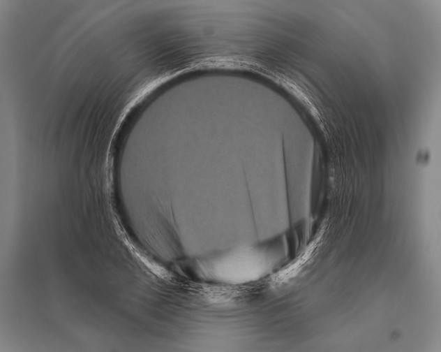 X0000094810981200712141618