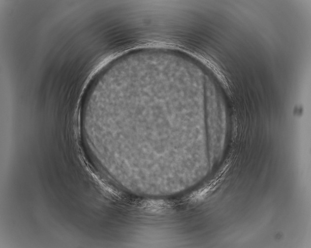 X0000094810982200712141618