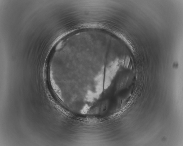 X0000094810983200712141618