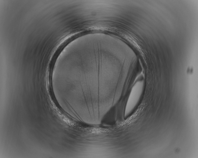 X0000094810984200712141618