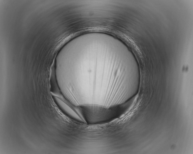 X0000094810985200712141618