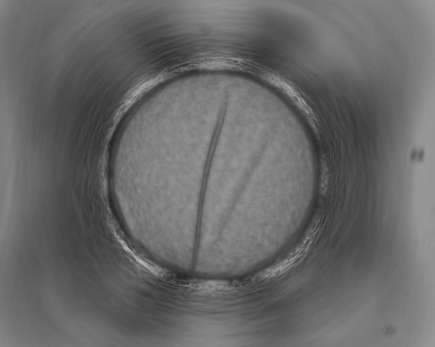 X0000094810986200712141618