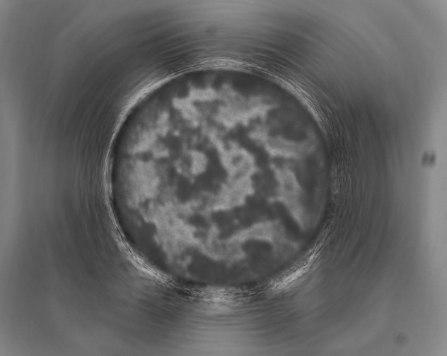 X0000094810987200712141618