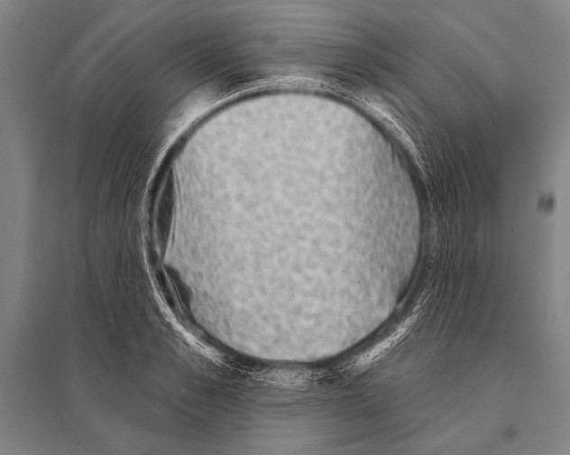 X0000094810989200712141618