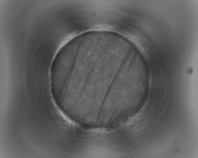 X0000094810990200712141618