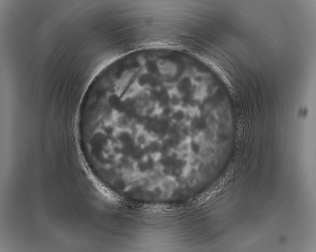 X0000094810991200712141618