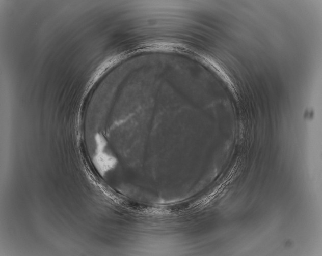 X0000094810994200712141618