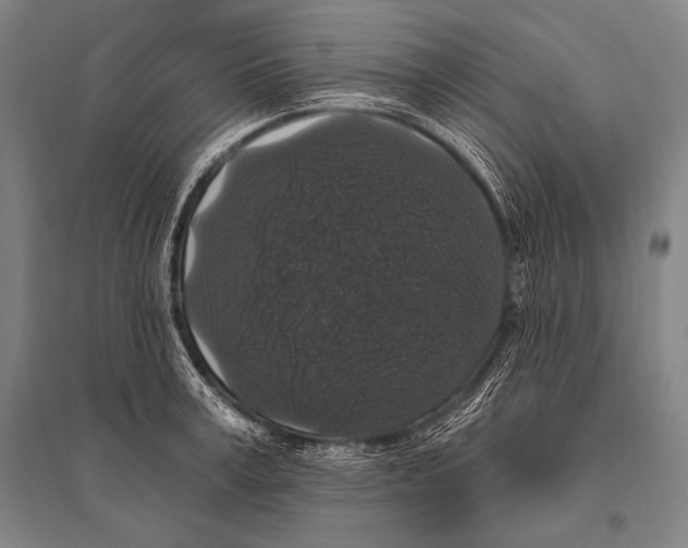 X0000094810995200712141618