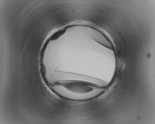 X0000094810997200712141618