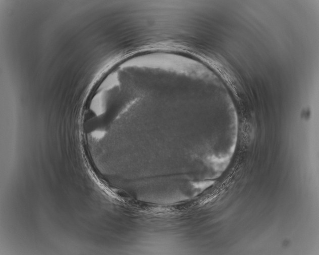 X0000094810998200712141618