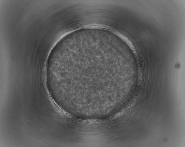 X0000094811000200712141618