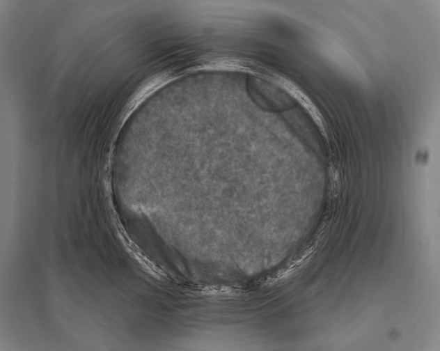 X0000094811002200712141618