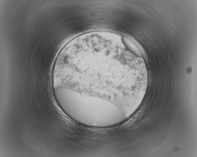 X0000094811004200712141618