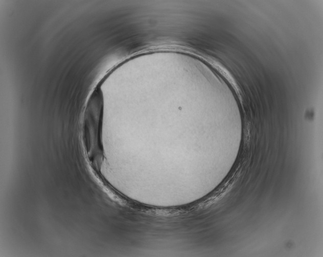 X0000094811005200712141618