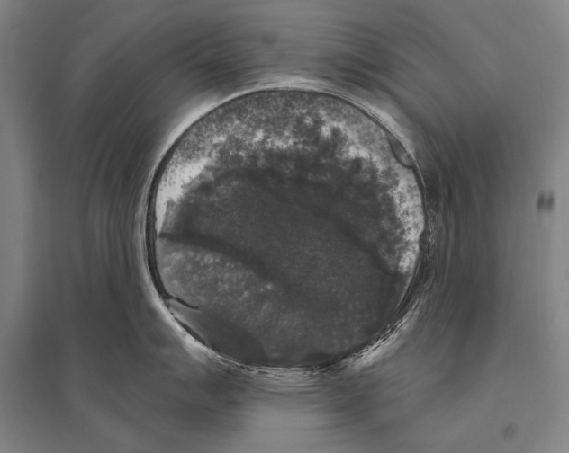 X0000094811007200712141618