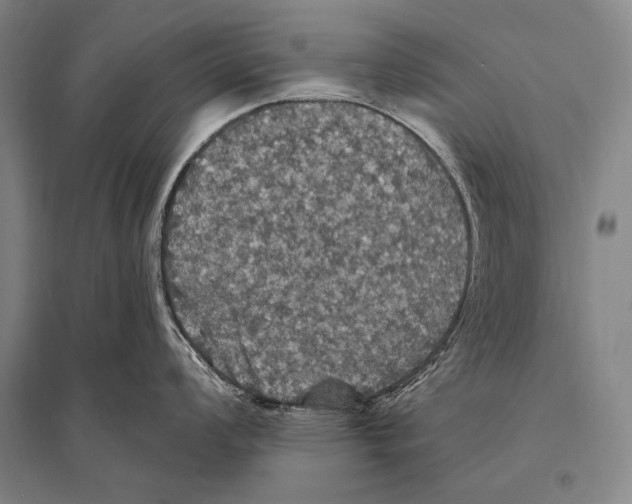 X0000094811008200712141618