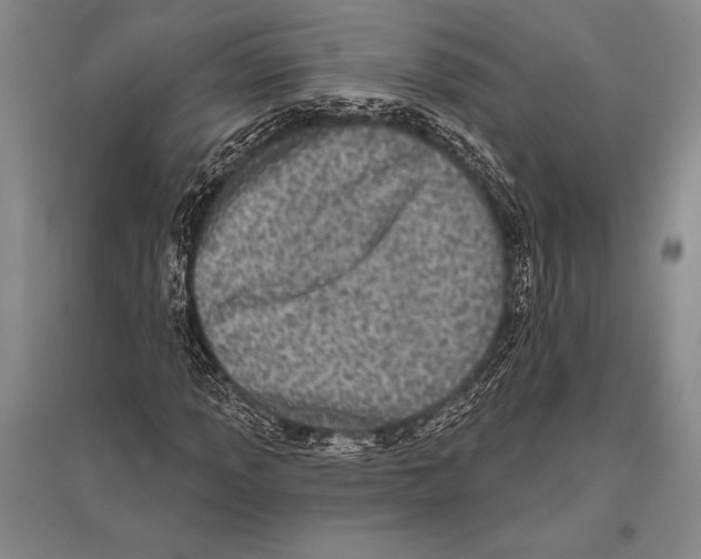 X0000094811013200712141617