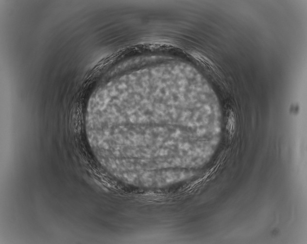 X0000094811014200712141617