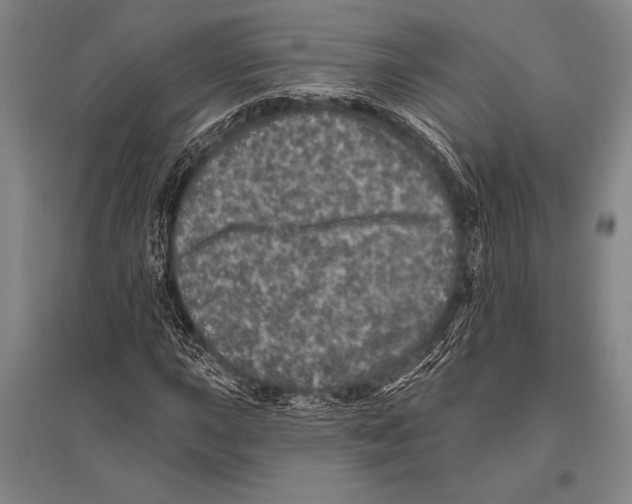 X0000094811015200712141617