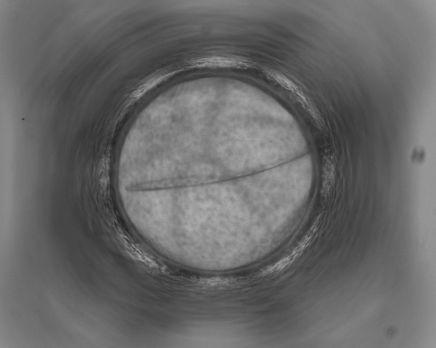 X0000094811017200712141617