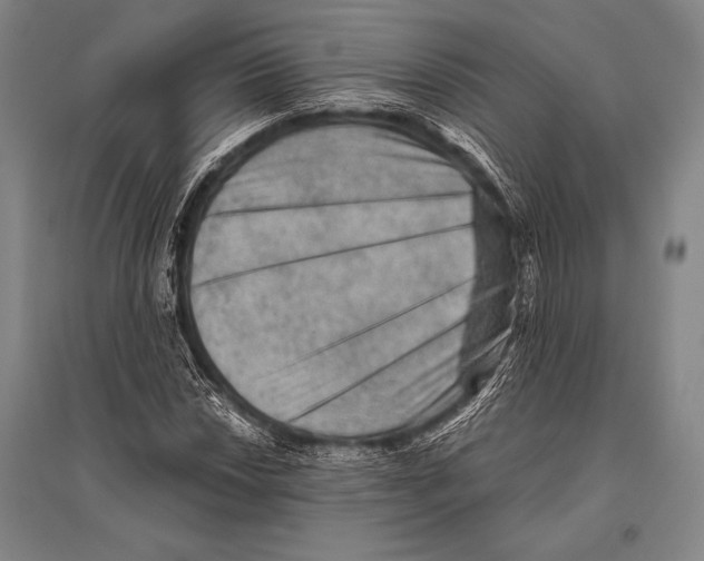 X0000094811018200712141617