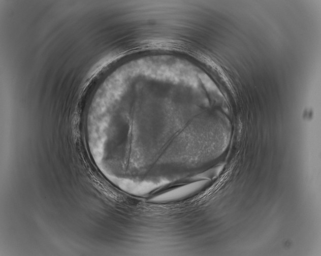 X0000094811019200712141617