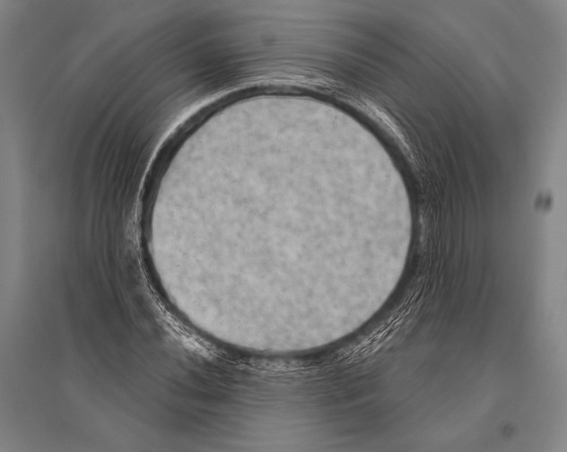 X0000094811020200712141617