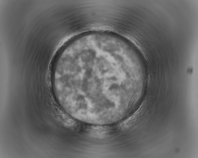 X0000094811022200712141617