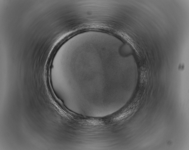 X0000094811024200712141617