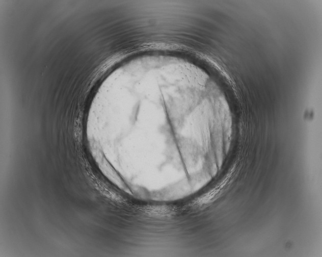 X0000094811025200712141617