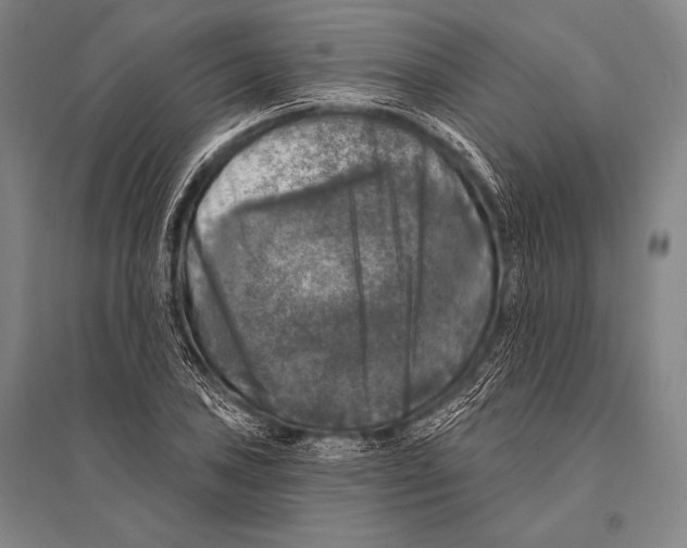 X0000094811027200712141617