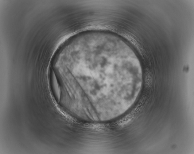 X0000094811030200712141617