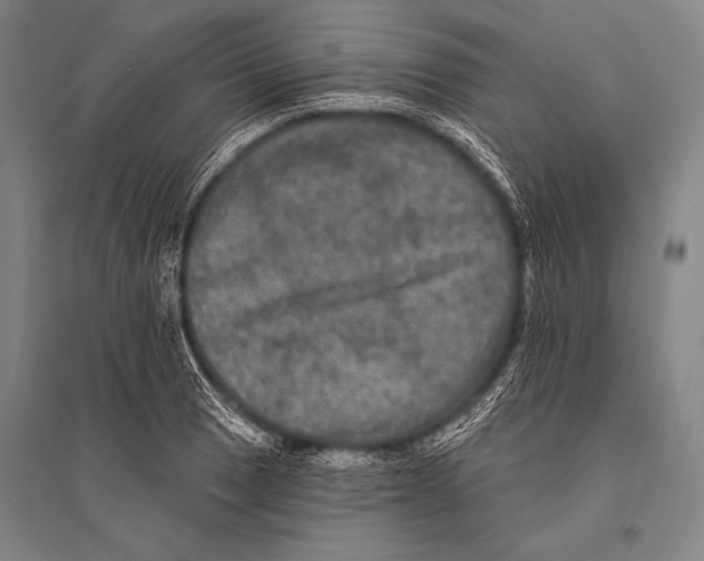 X0000094811033200712141617