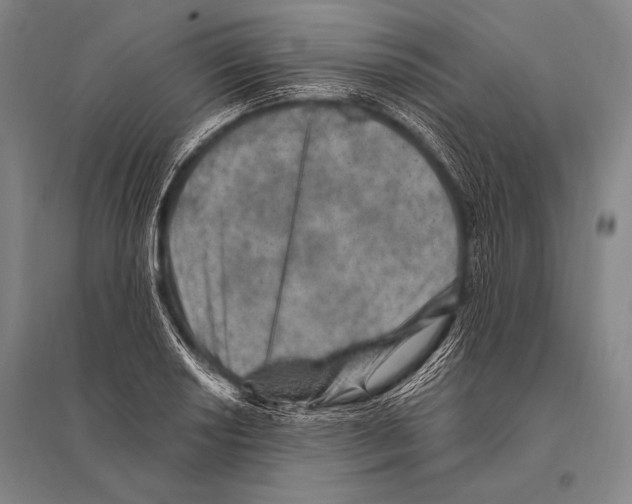 X0000094811034200712141617