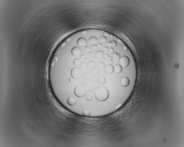 X0000094811036200712141617