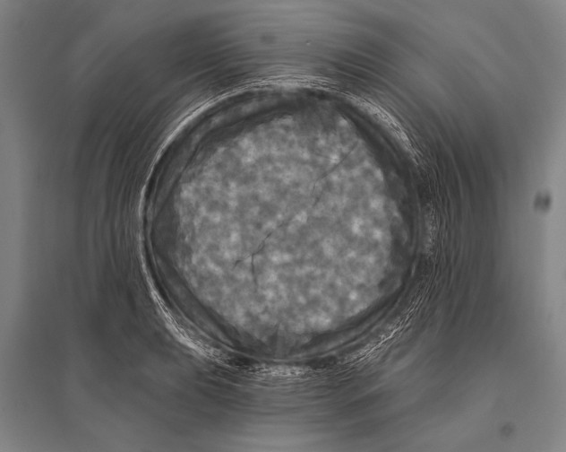 X0000094811039200712141617