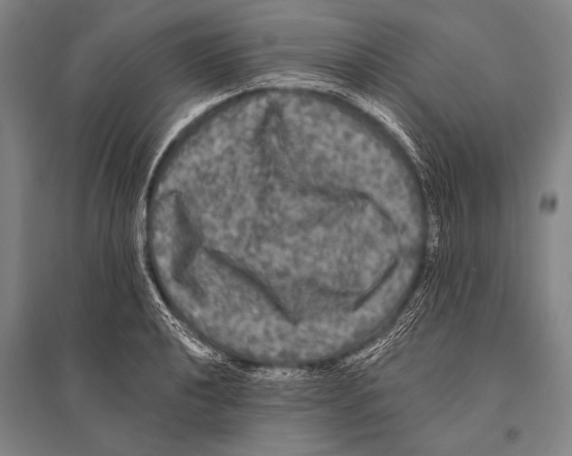 X0000094811040200712141617