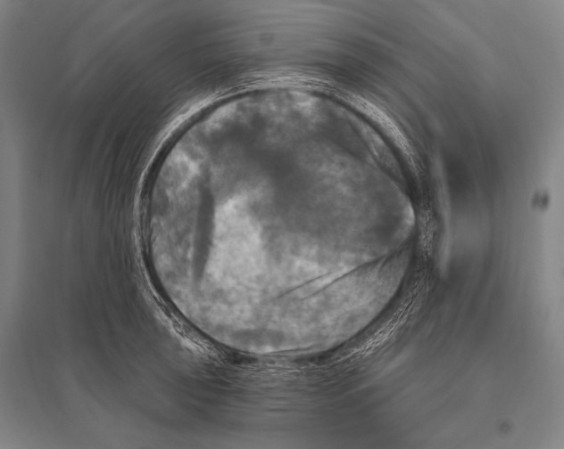 X0000094811043200712141617