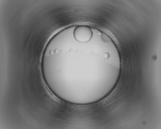 X0000094811044200712141618