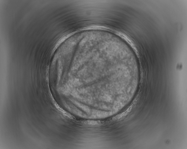 X0000094811049200712141618