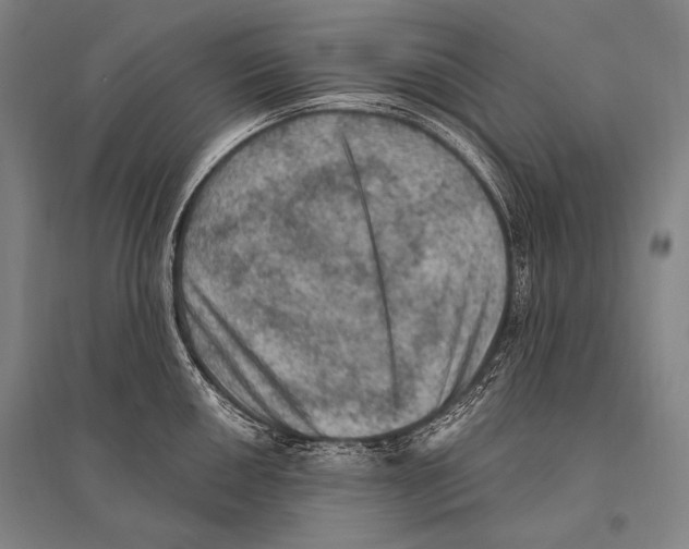 X0000094811050200712141618