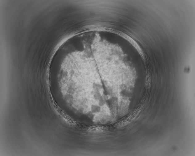 X0000094811051200712141618