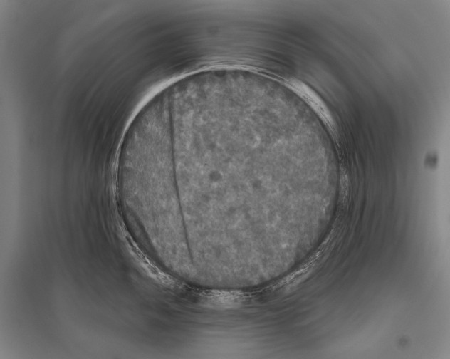 X0000094811052200712141618